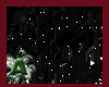 [A&P]diamant tails black