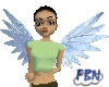White Blue Wings