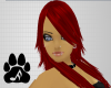 AC Hisa Crimson