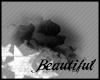 [b]Black Cloud