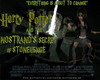 Potter