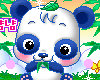 ~Panda Banda~