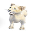 [NC6] cub lion white