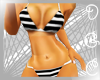 *DGC Basic Bikini Black