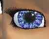 Diva Blue Eyes