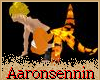 Orange Chakra Bundle (M)
