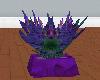 LL-Hybrid House plant