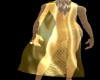 SH Transparent Gold Cape