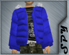Product Image for [SPY] Puffy Coat (Blue)