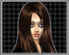 [ENV] Anan (BROWN)