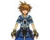 Sora Wisdom