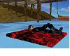 red&black dbl pool float