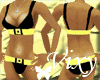 *V* Yellow Belt Bundle