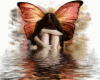 butterfly water
