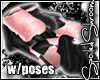 +SS+ Captivation Pillows