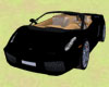 elegant ride