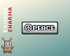 (BS) PEACE in silver