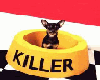 Dog in food dish