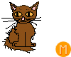 -MR- Brown Kitten