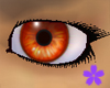 Orange Eyes