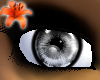 Prism Eyes Chrome