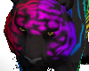 Black Raibow Tiger