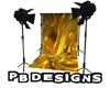 PB Pro Backdrop Gold