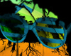 Mm.Shutter Shades (m)