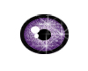 purple eyes