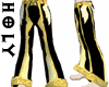 � Holy Sorrow Pant �