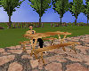 {3DF}Picnic Table