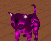 Kats cat