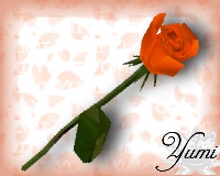 gift