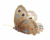Butterfly Sticker MSS