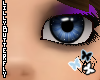 [L] Makeup Midnight