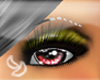 [ND]Lashes Dhose:::