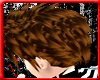Reno Chestnut Brown