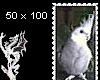 Elvis the Tiel