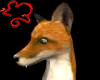 Red Fox Head