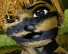 *AB*CleanDog skin Male