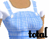 Dorothy Outfit