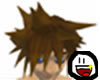 Sora Hair [Brown]