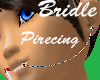 [irk]ChromeBridleLipRing