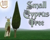 Small Cyprus Tree