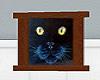 Cat Face Picture