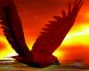 Hell Hawk