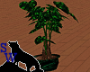 Greenbrite Plant