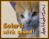Solaris Kitty with Sound