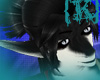 {K}BlackSergalTail
