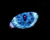 *ZMH* DEVILCATEYES